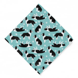 Border Collie and Paw Print Bandana