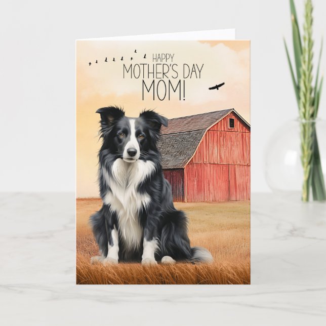 Border Collie and Red Barn Mother's Day Holiday Card (Front)