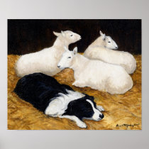 Border Collie and Sheep Dog Art Print