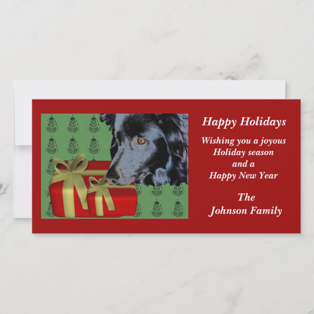 Border Collie Animal Christmas Holiday Card (Front)