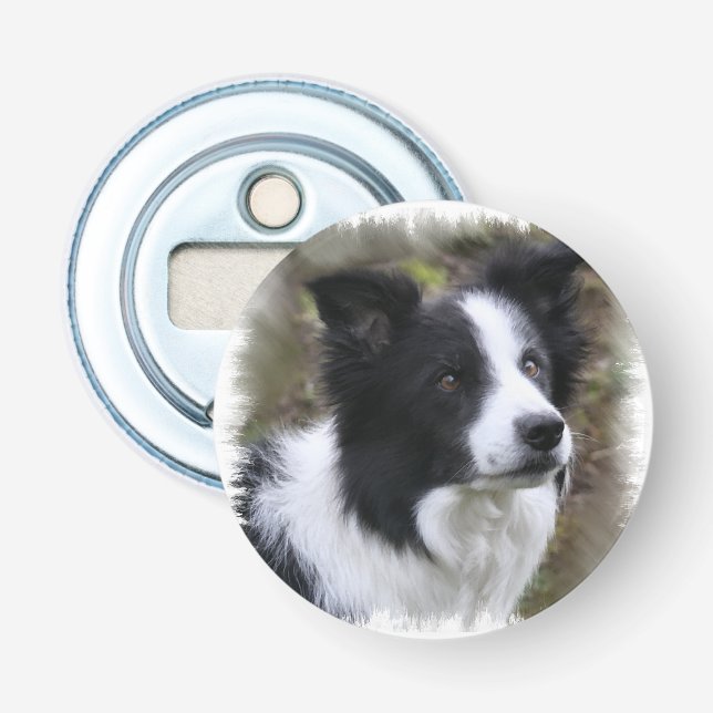 Border Collie Art Bottle Opener (Front)