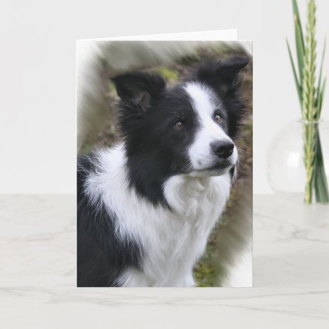 Border Collie Art Gifts Card (Front)