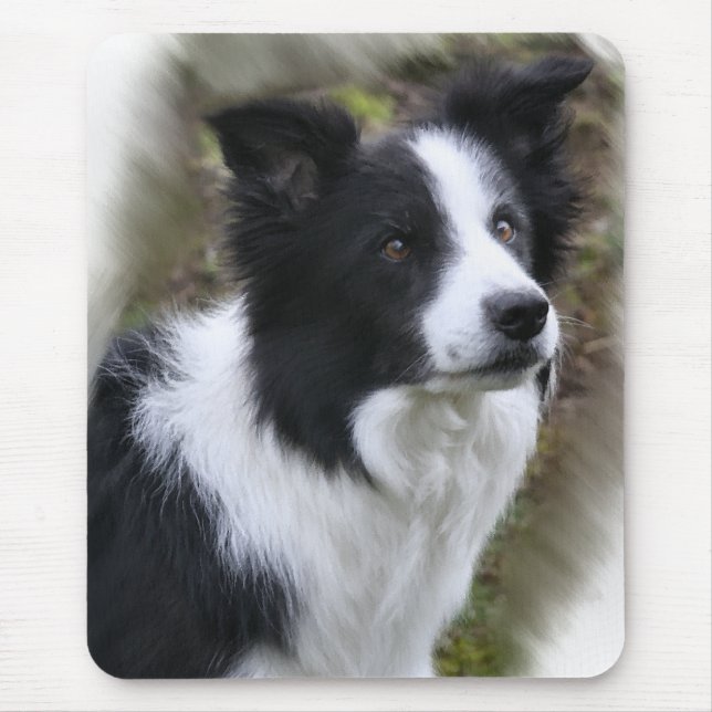 Border Collie Art Gifts Mouse Pad (Front)