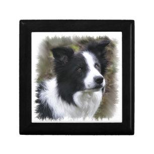 Border Collie Art Jewelry Box