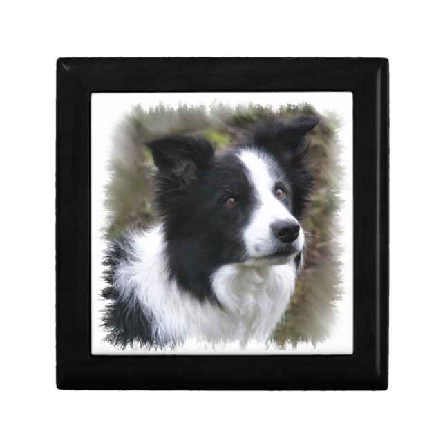 Border Collie Art Jewelry Box (Front)