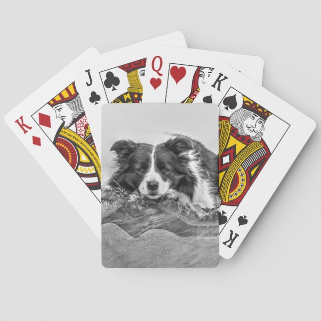 Border Collie Art Poker Cards (Back)