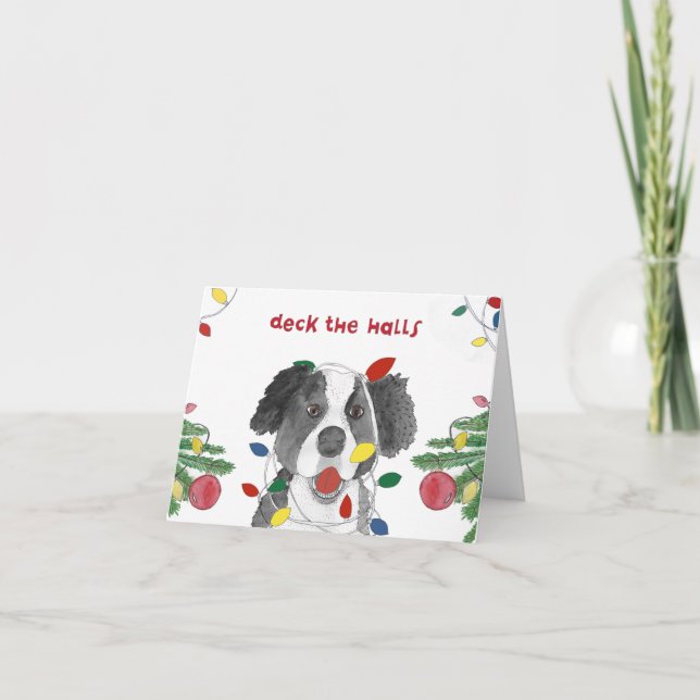 Border Collie at Christmas  Holiday Card (Front)