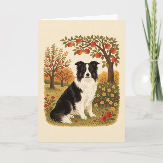 Border Collie Collection — preview