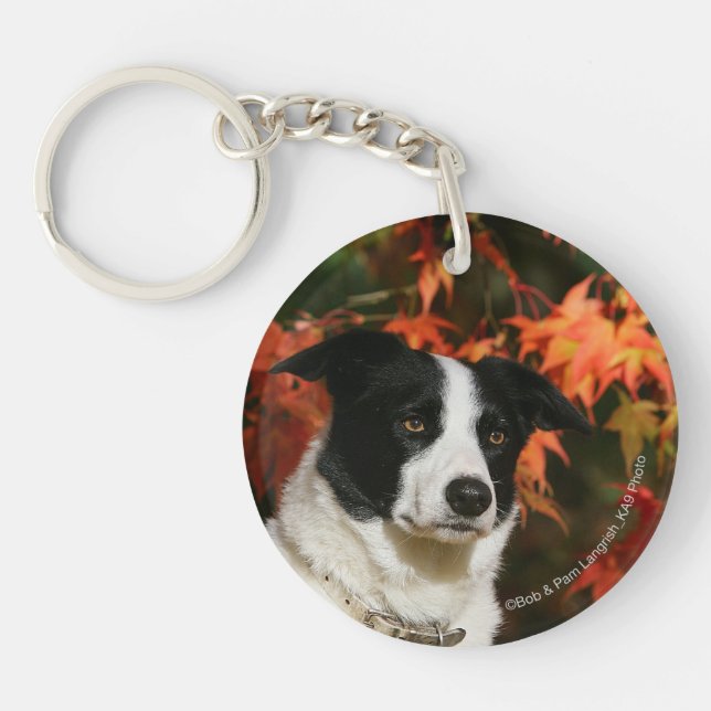 Border Collie Autumn Headshot Keychain (Front)