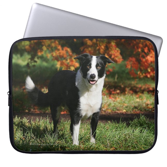 Border Collie Autumn Standing Laptop Sleeve (Front)