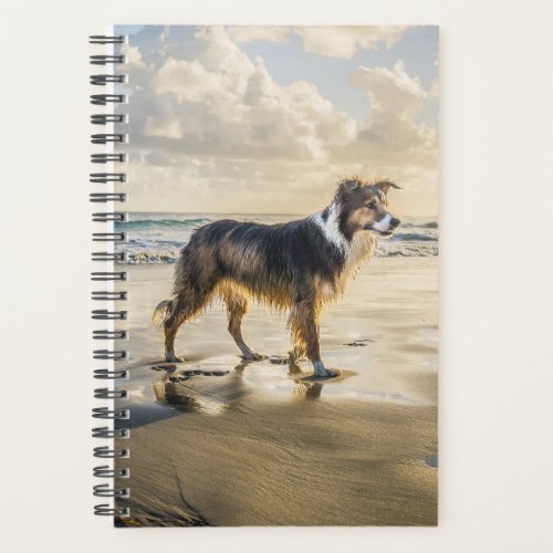 Border Collie Beach Fun  Dog Planner