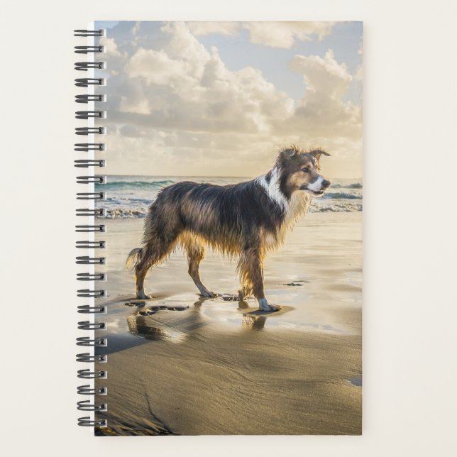 Border Collie Beach Fun | Dog Planner (Front)