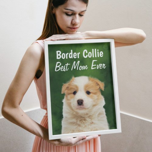 Border Collie Best Mom  Poster