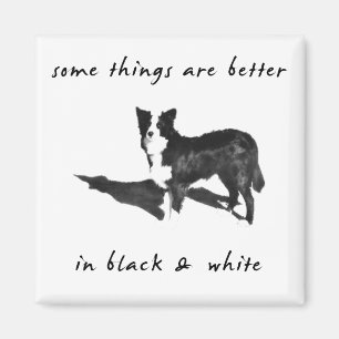 Border Collie Better Magnet