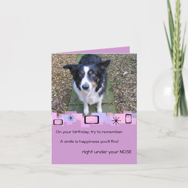 Border Collie Birthday Greeting Card (Front)