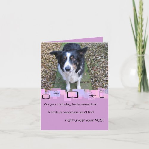 Border Collie Birthday Greeting Card