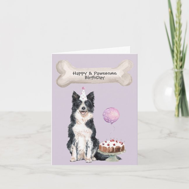 Border Collie Birthday Holiday Card