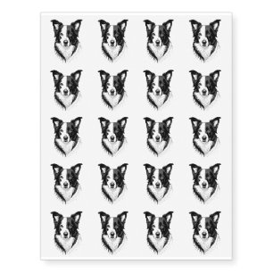 Border Collie Black and White Temporary Tattoos