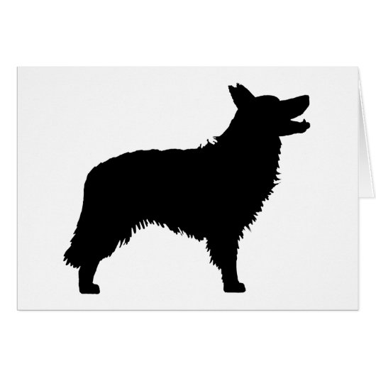 Border Collie (black) Cards (Front Horizontal)