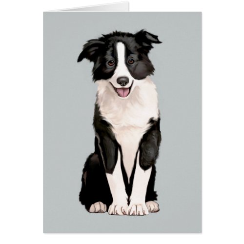 Border Collie Blank