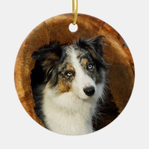 Border Collie Blue Merle Dog hang Decor Ceramic Ornament