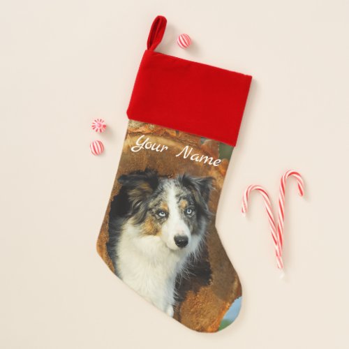 Border Collie Blue Merle Dog Head Photo Pet Name Christmas Stocking