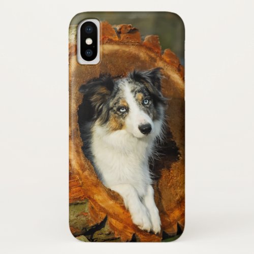 Border Collie Blue Merle Dog Head Photography Pet iPhone X Case