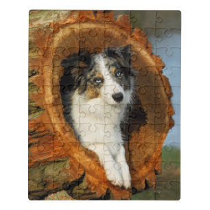 Border Collie Blue Merle Dog Head Photography Pet Jigsaw Puzzle