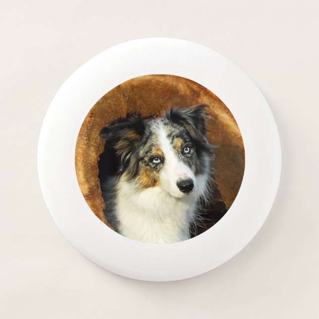 Border Collie Blue Merle Dog Head Photography Pet Wham-O Frisbee (Front)