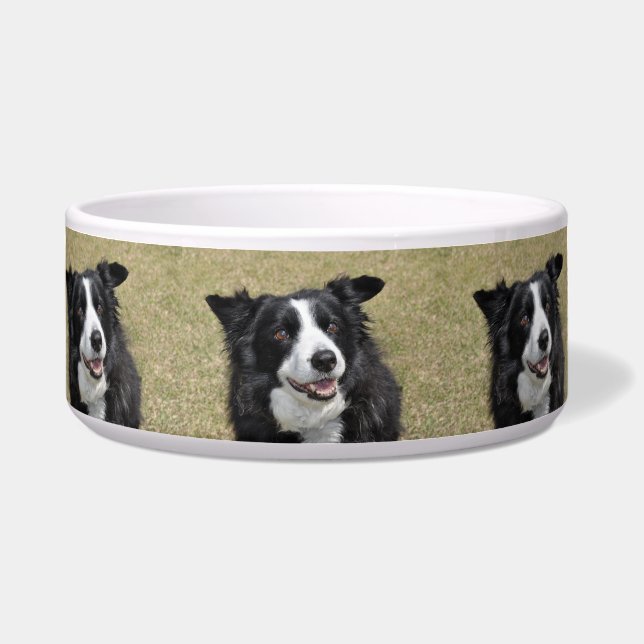 Border collie bowl (Front)