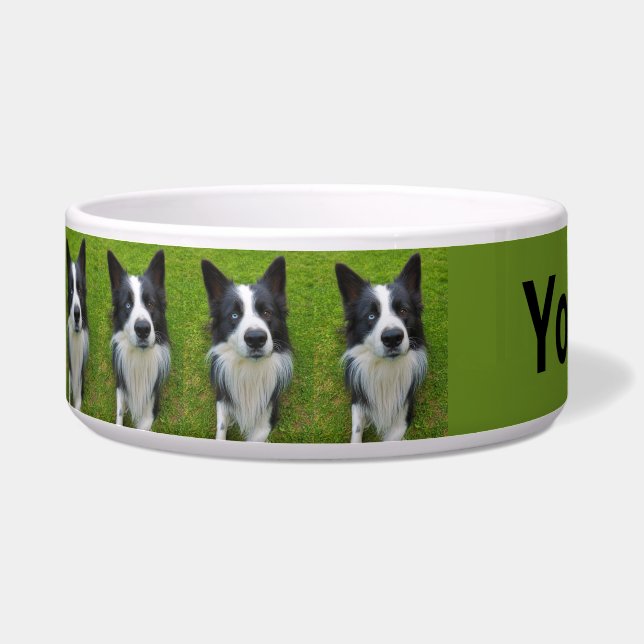 Border Collie  Bowl (Left)