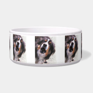 BORDER COLLIE BOWL