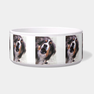 BORDER COLLIE BOWL