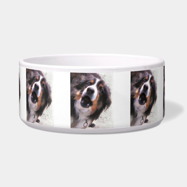 BORDER COLLIE BOWL (Front)