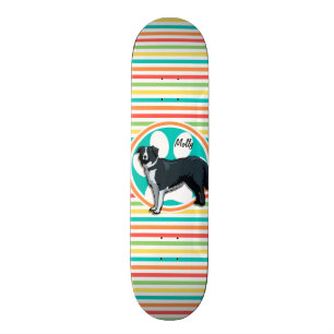 Border Collie; Bright Rainbow Stripes Skateboard