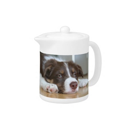 Border Collie Brown & White Dog Teapot