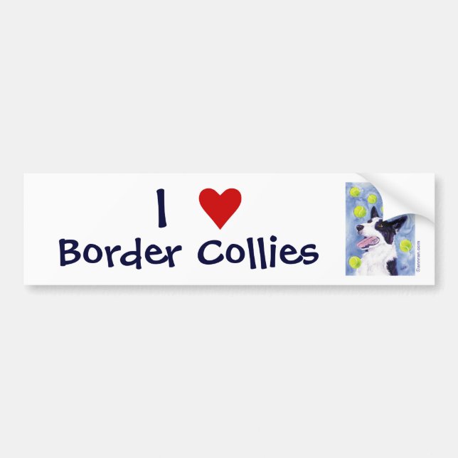 Border Collie Bumper Sticker (Front)