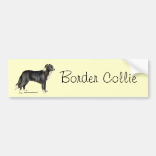 Border Collie Bumper Sticker