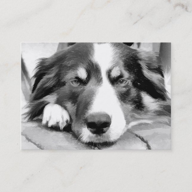 BORDER COLLIE BUSINESS CARD (Front)