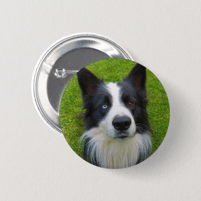 Border Collie Button (Front & Back)
