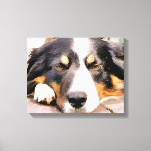 BORDER COLLIE CANVAS PRINT