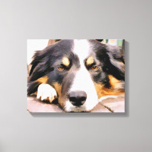BORDER COLLIE CANVAS PRINT
