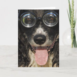 Border Collie Card