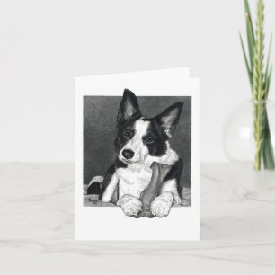 Border Collie Card - "Magpie"