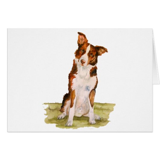 Border Collie Cards (Front Horizontal)