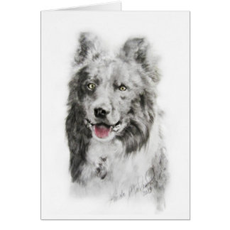 Border Collie Cards