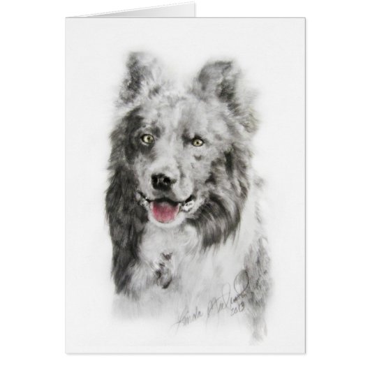 Border Collie Cards (Front)