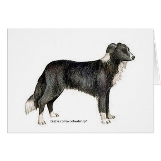 Border Collie Cards (Front Horizontal)
