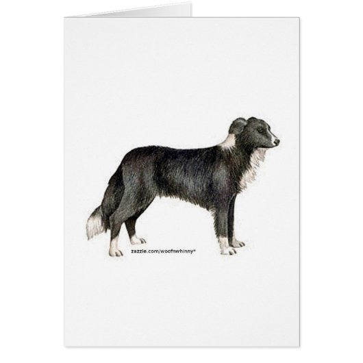 Border Collie Cards (Front)