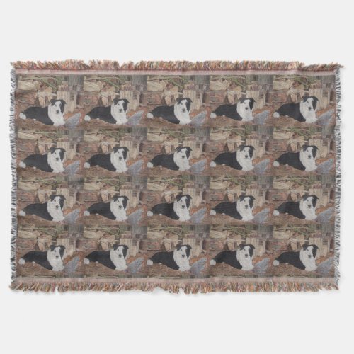 border collie chickens in log shed dog portrait throw blanket